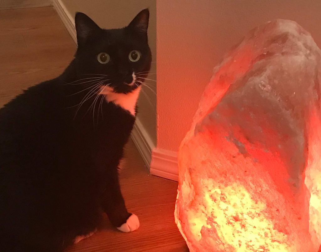 large floor salt lamp