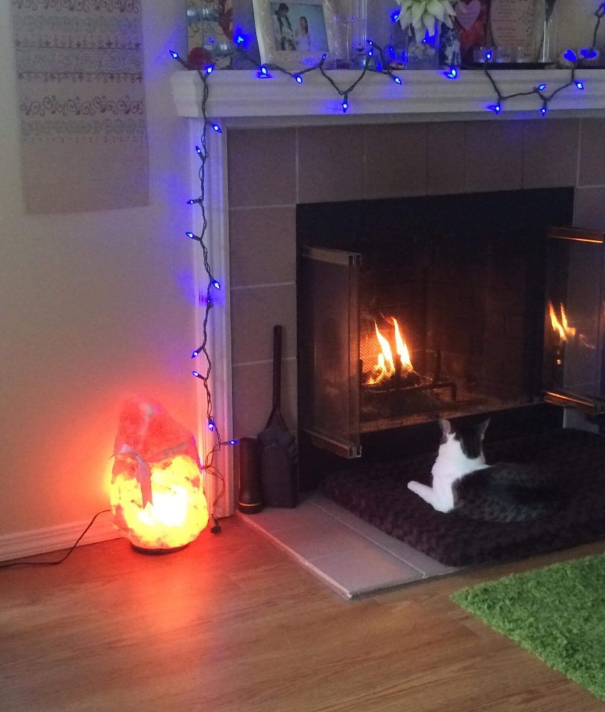 large floor salt lamp