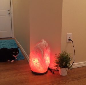 large himalayan salt lamps